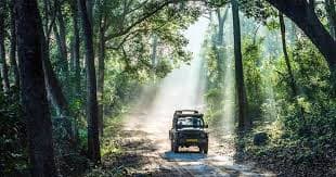 Stay + Safari: Jeep Safari Package